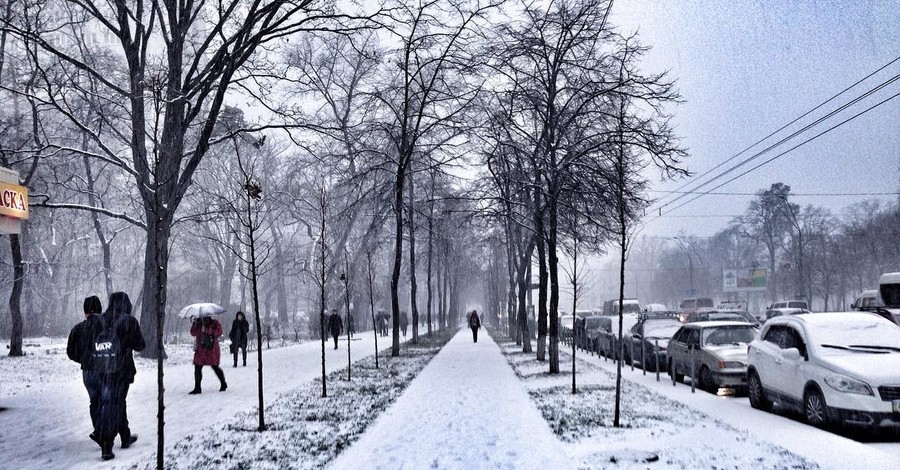Утренний снег в Киеве заполонил Instagram 