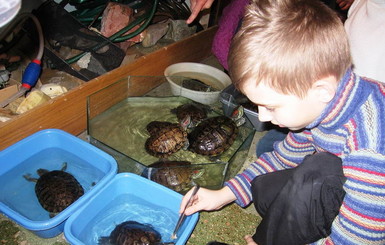 В Днепропетровске рептилий из зооуголка будут расселять по домам сотрудников