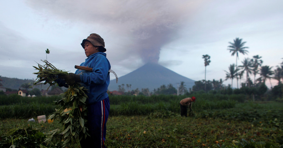 Фото дня: сбор урожая на фоне извергающегося вулкана 