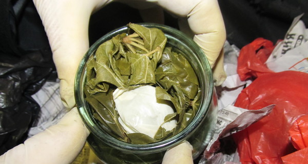 Харьковские пограничники нашли наркотики в долме