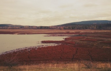Симферопольское водохранилище поросло неведомой красной травой