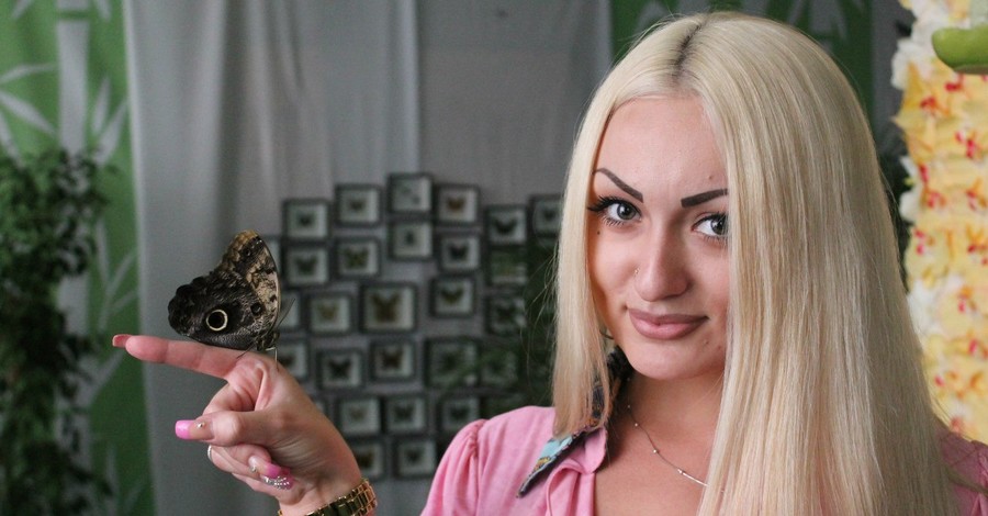 В Симферополе погибают редкие тропические бабочки