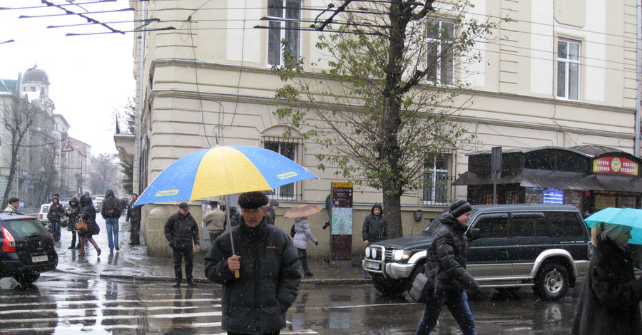 Непогода на Львовщине: Без света 34 села, а на трассах застряли десятки машин
