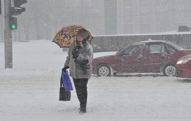 Сегодня Донецк накроет снежная буря  
