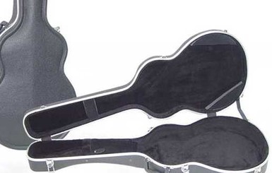 Полицейские США нашли голого мужчину в гитарном кофре