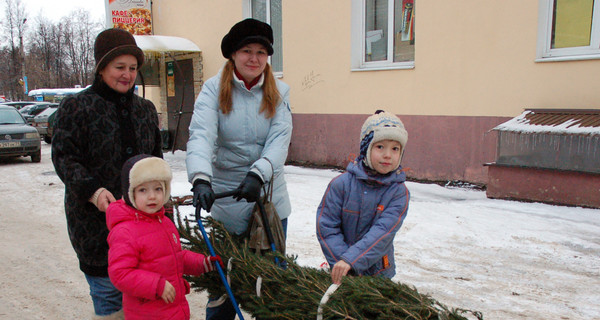 В Донецке новогодние елки можно взять в аренду и заказать на дом