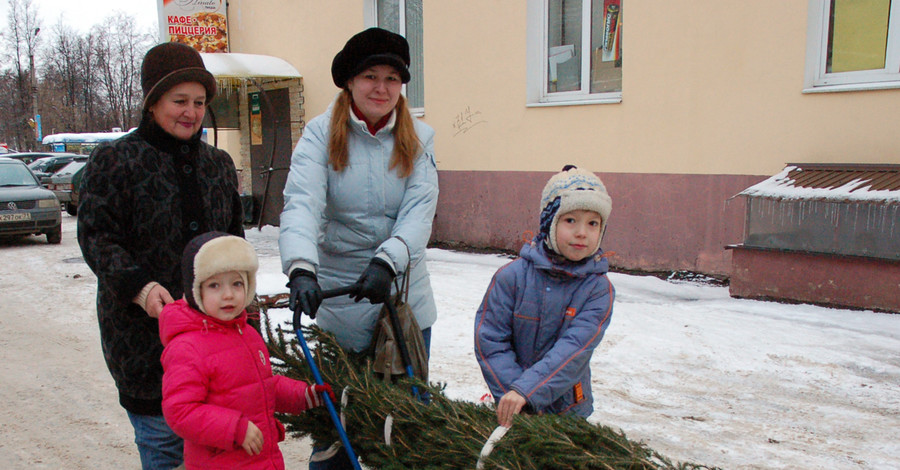 В Донецке новогодние елки можно взять в аренду и заказать на дом