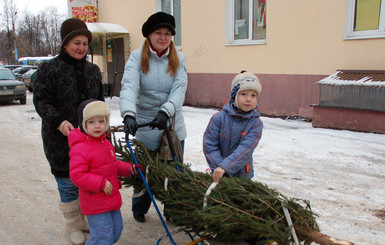 В Донецке новогодние елки можно взять в аренду и заказать на дом