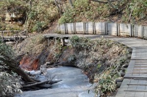 В Японии произошло землетрясение, подземные толчки ощущались в Фукусиме