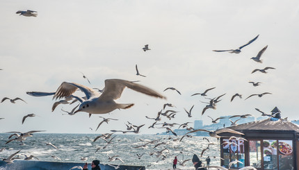 На одесском пляже – мороз и солнце