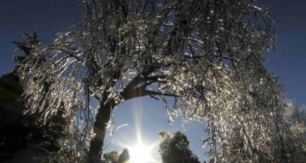 В Канаде жертвами ледяного дождя стали 10 человек
