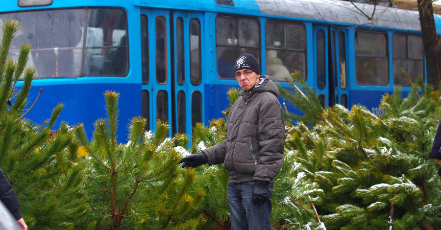 Где в Одессе купить новогоднюю елку