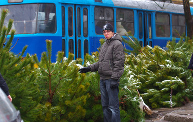 Где в Одессе купить новогоднюю елку