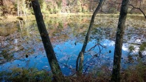 На Херсонщине утонули охотники