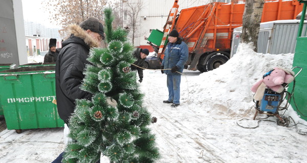 Новогодние елки станут топливом для котельных Донецка