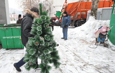 Новогодние елки станут топливом для котельных Донецка