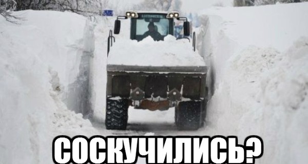 Киевляне радуются снегу: 