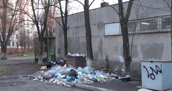 Брошенный в мусорный бак в Мариуполе младенец был доношен и здоров