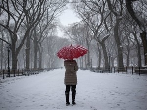 До конца месяца в Украине пройдут сильные снегопады