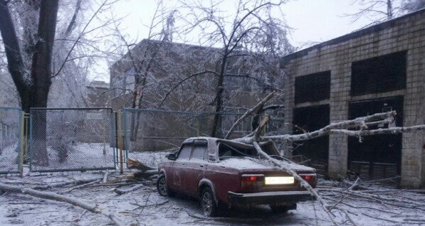 В Одессе шторм повалил десятки деревьев