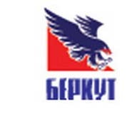 В Киеве хоккейная команда  сменила свое имя из-за событий на Евромайдане