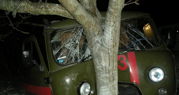 Под Николаевом 