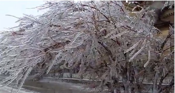 В Крыму наблюдают редкое явление – ледяной дождь 