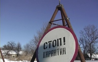 Чумные кабаны из России заразили домашних украинских хрюшек 