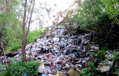 В Крыму фото тех, кто мусорит на обочинах, повесят на бигбордах