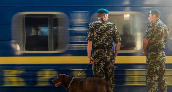 В Киеве милиция с собаками проверила семь 
