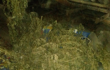 В доме у крымчанина нашли более шести килограммов марихуаны