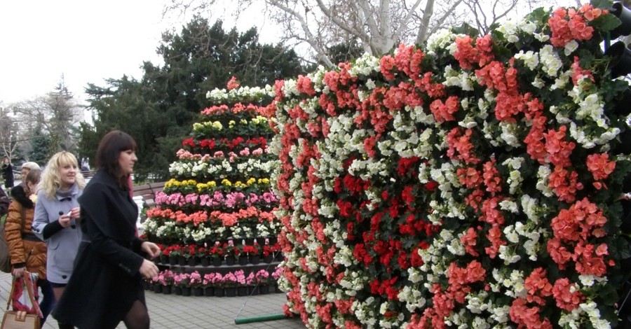 В Севастополе появились трехметровые клумбы с цветами