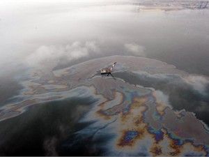 В Севастопольскую бухту вылили больше трех тонн нефтепродуктов