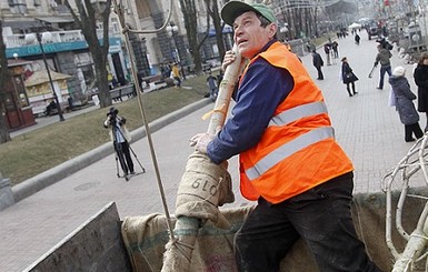 Суд постановил выкорчевать каштаны на Крещатике