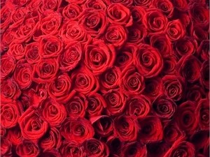 Темпераментный мужчина похитил 50 роз, чтобы раздать девушкам