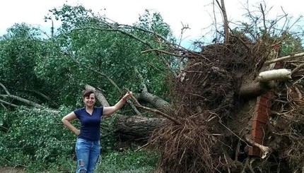 Непогода в Украине: затопленные улицы в Черновцах и вывернутые с корнями деревья в Рубежном