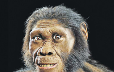 Дарвин оказался прав: предки людей были похожи на обезьян 