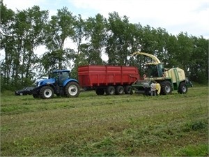 Аграрии говорят, что обеспечены семенами на 110 процентов