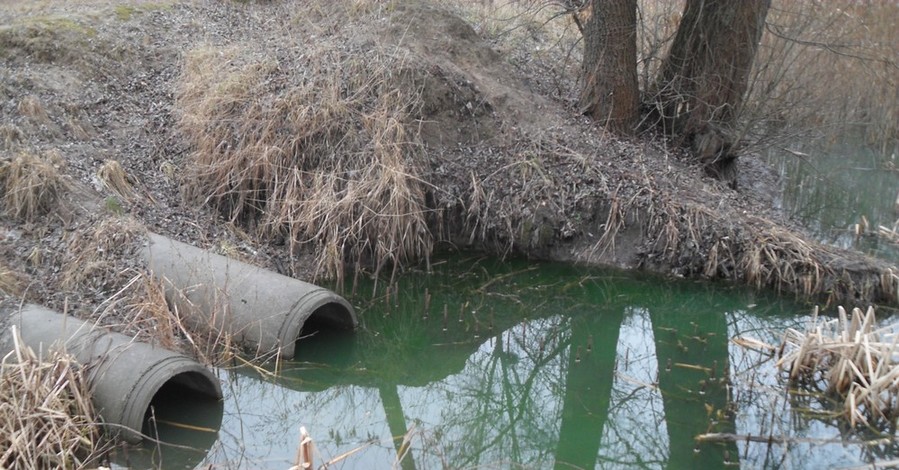 Вода в киевском парке отравлена химией 
