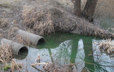 Вода в киевском парке отравлена химией 
