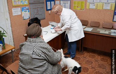 В Харькове домашних любимцев за 3 гривны вакцинируют от бешенства
