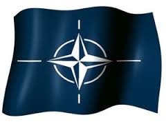 Ряд сайтов НАТО подверглись DDoS атаке