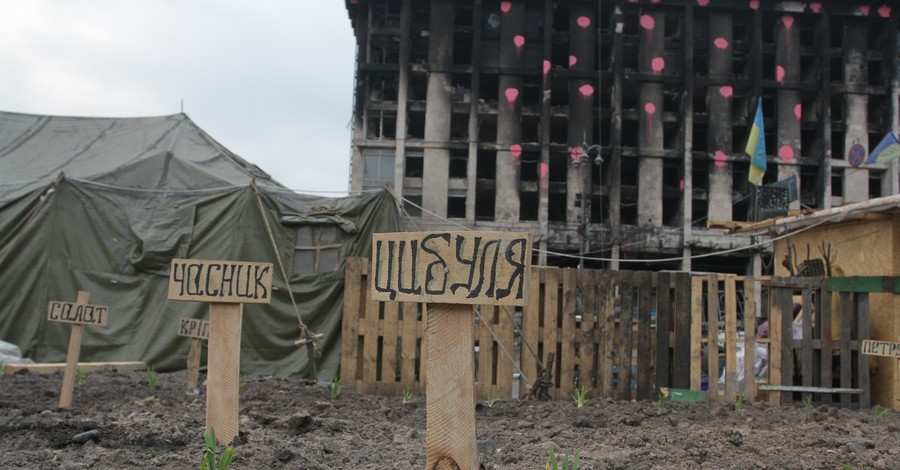 В центре Киева активисты высадили петрушку 