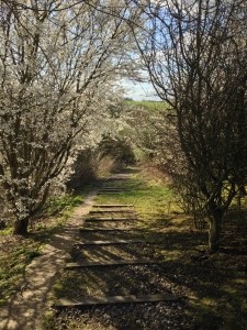 В пятницу, 28 марта, станет прохладней