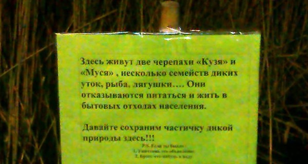 Днепропетровцы вступились за черепашек и уток