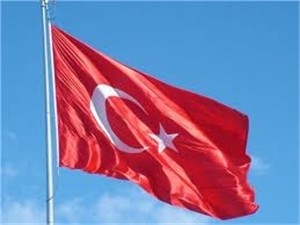 В Турции в столкновениях во время выборов погибли шесть человек