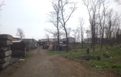 В Днепропетровске неизвестные начали вырубывать  деревья в парке 