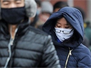 В КНДР массово уничтожают кур, боятся птичьего гриппа