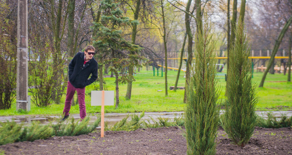 В запорожском парке зацветут тюльпановое и мыльное деревья