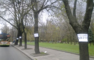 В Киеве к деревьям массово прибивают рекламные объявления